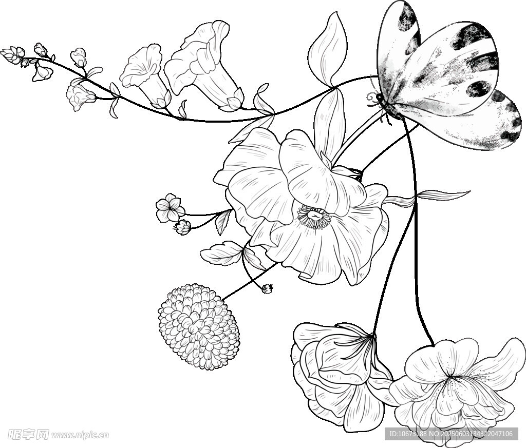 黑白花卉蝴蝶线描图案