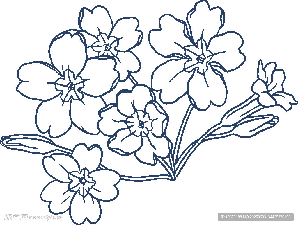 手绘简约花卉图案线条画