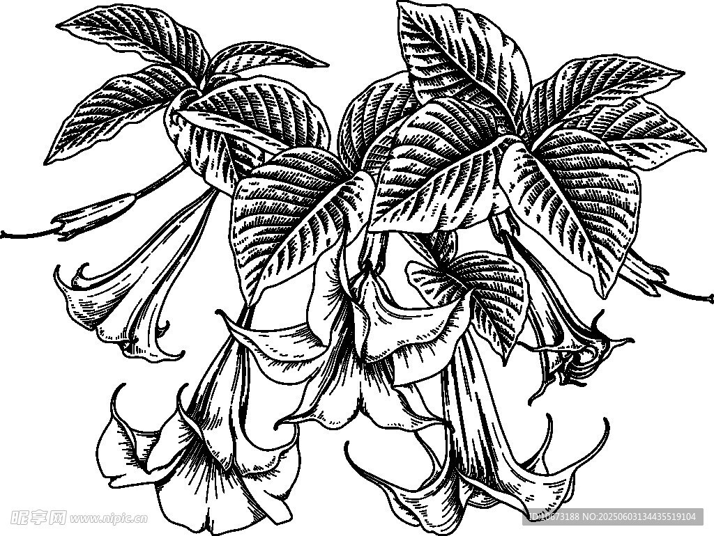 手绘花卉图案