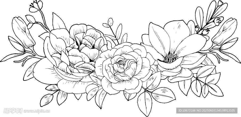 花卉黑白线稿插画图案