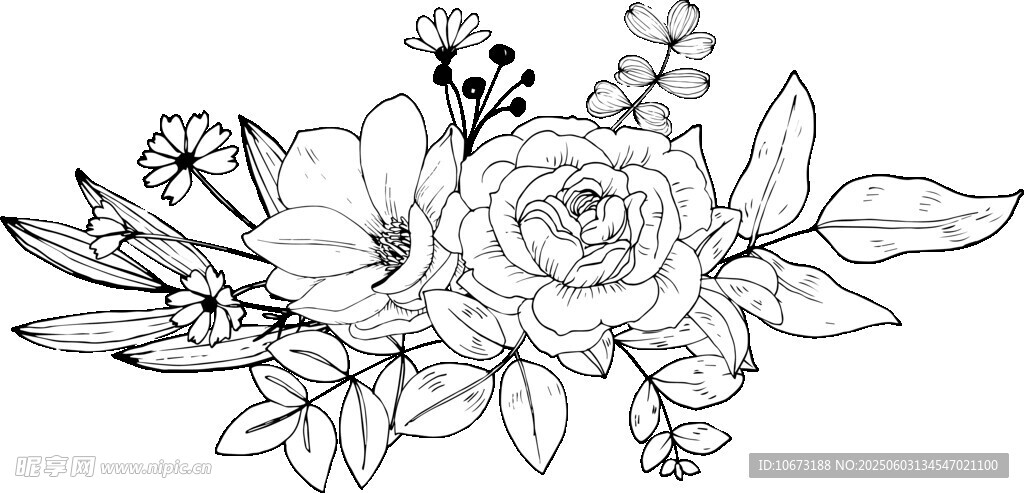 花卉黑白线稿插画图案