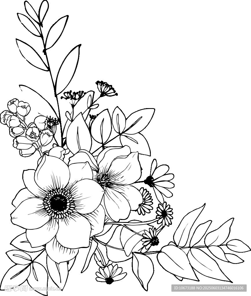 黑白花卉线稿插画