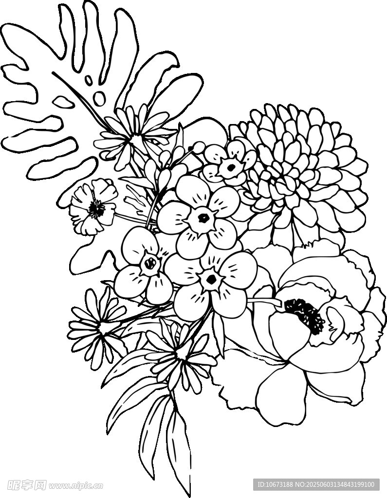 黑白花卉插画图案设计