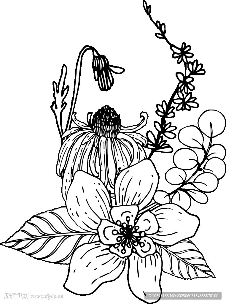手绘花卉图案设计元素