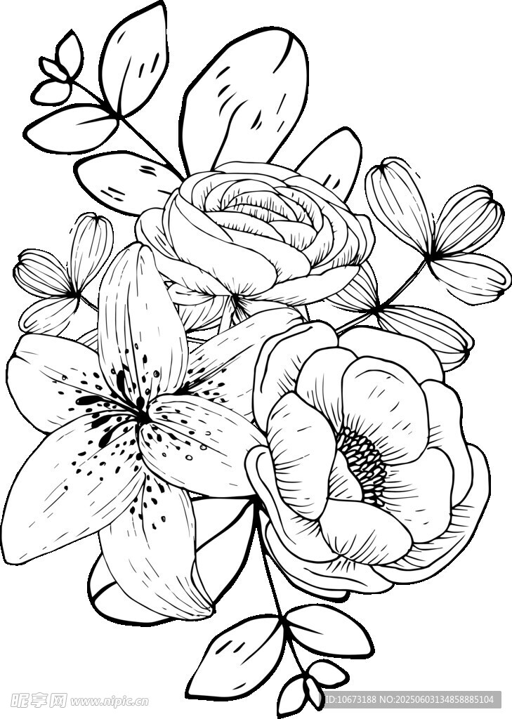 花卉黑白线稿插画图案