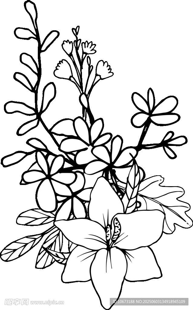 黑白花卉线稿插画