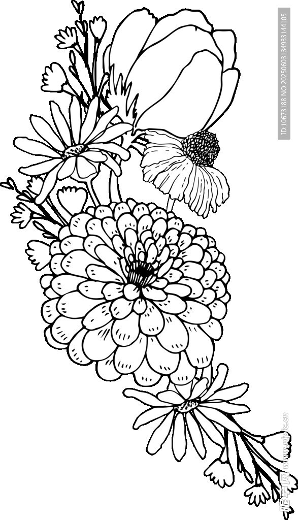 黑白花卉线条插画图案