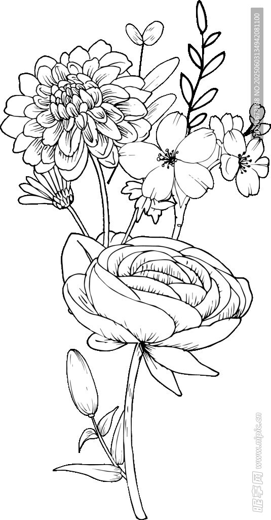 手绘花卉线条插画