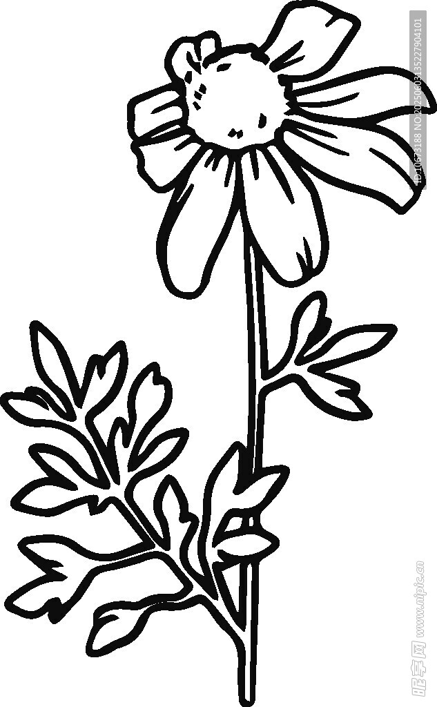 手绘单枝菊花线条图