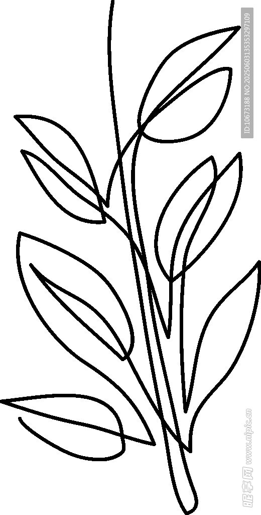 简约线条植物枝叶图