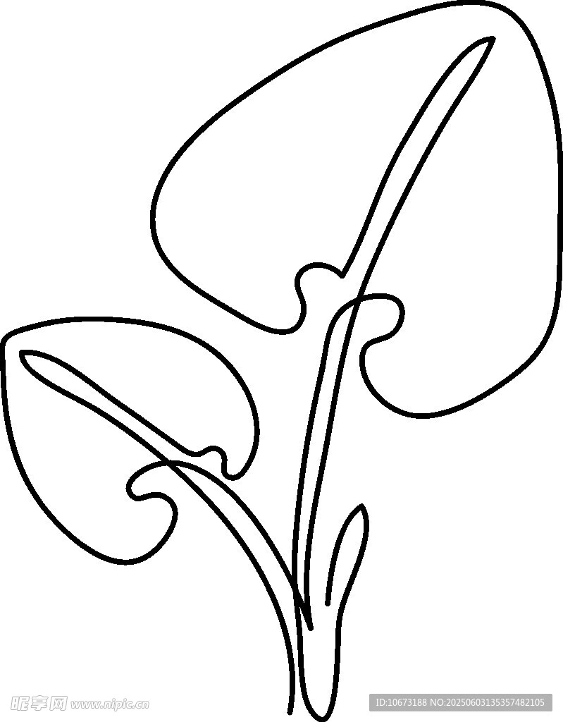 简约线条植物插画
