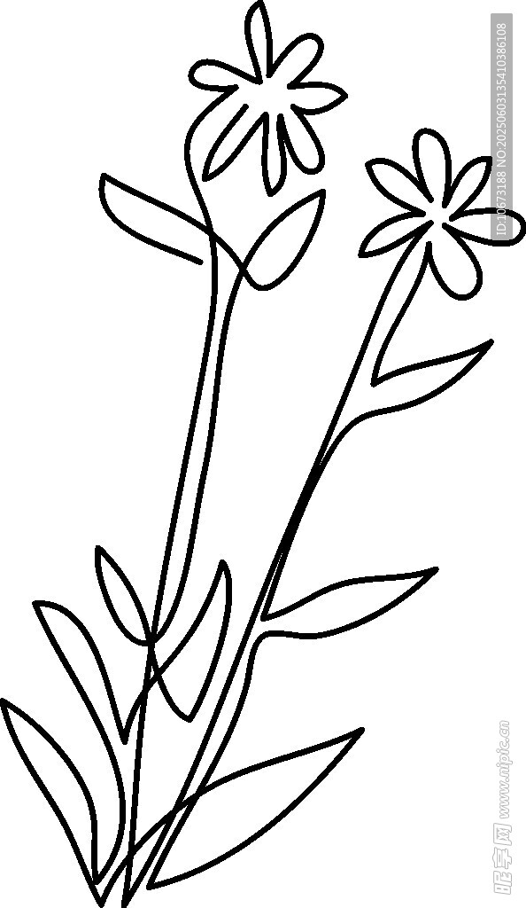 手绘线条花卉图案