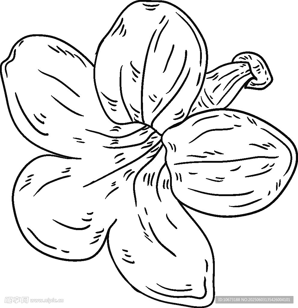 手绘线条花朵图案