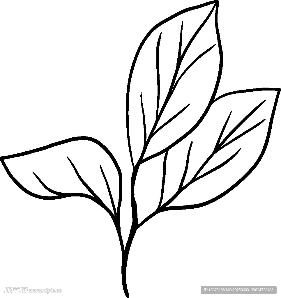 简约线条绘就的三片叶子
