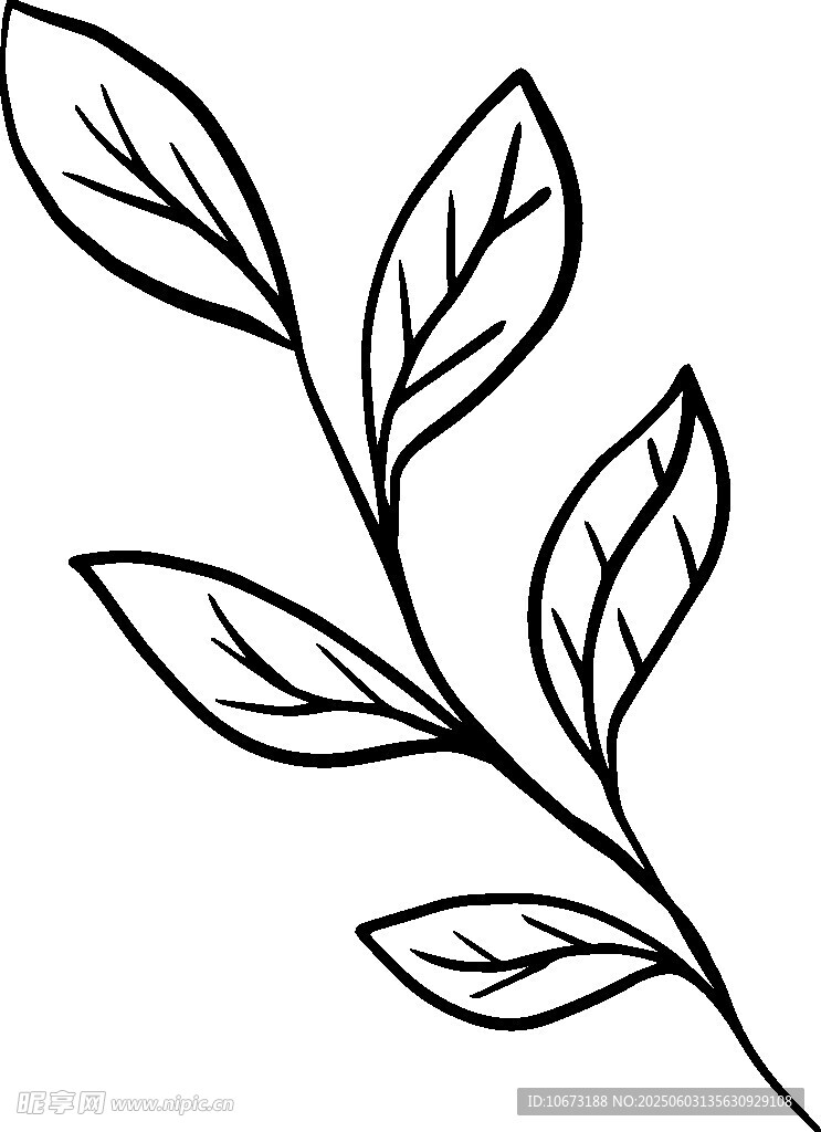 简约手绘植物枝叶线条图
