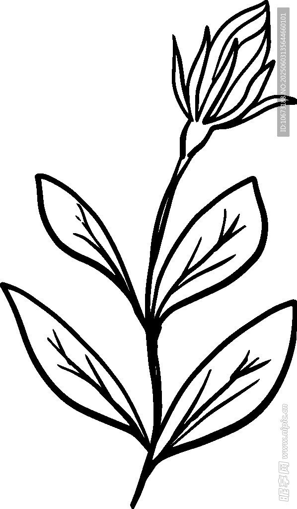 手绘单枝花卉植物线条图