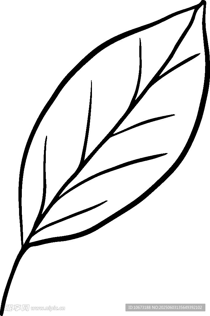 简约线条勾勒的单叶片