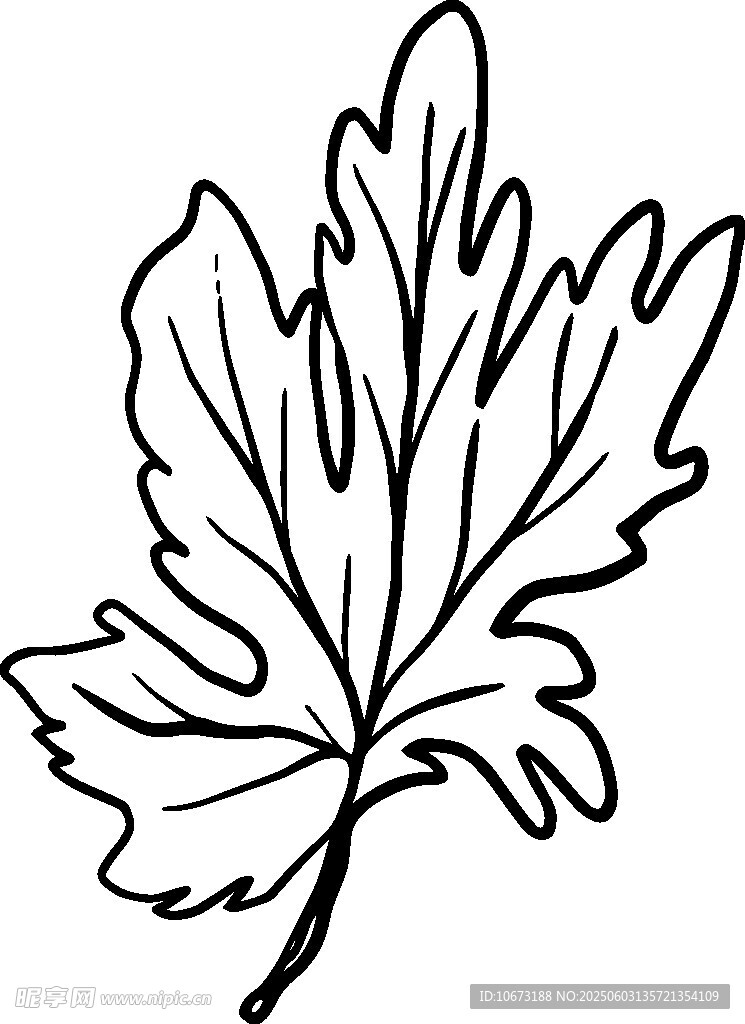 手绘轮廓芹菜叶