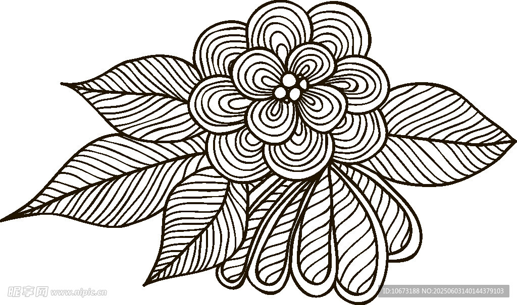 手绘花卉图案线条装饰画