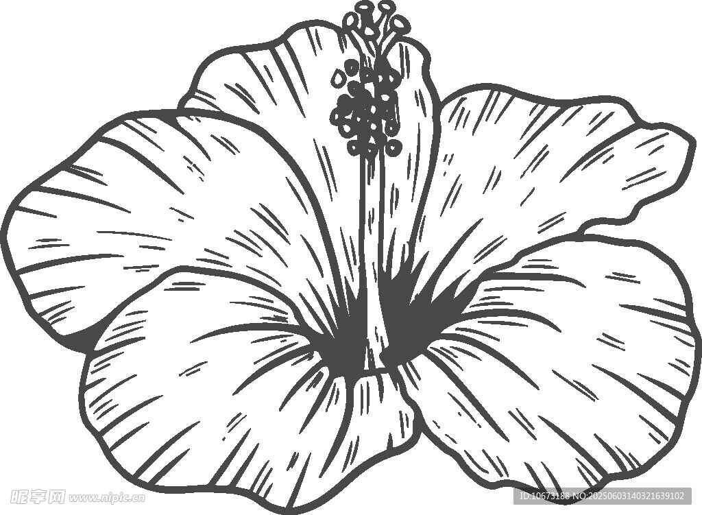 手绘扶桑花图案