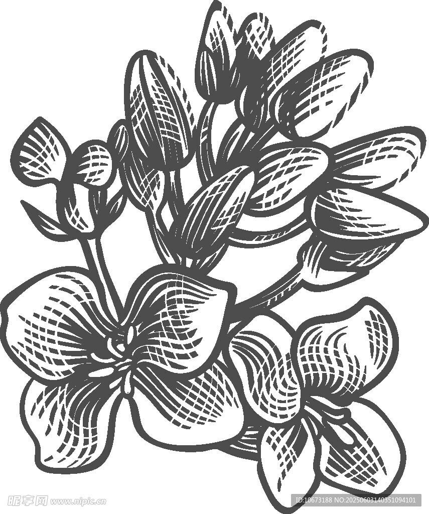 手绘兰花花卉图案