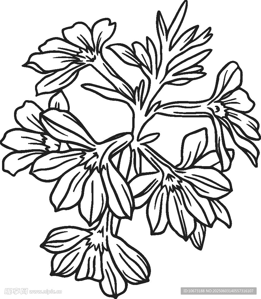 手绘花卉图案线条简洁