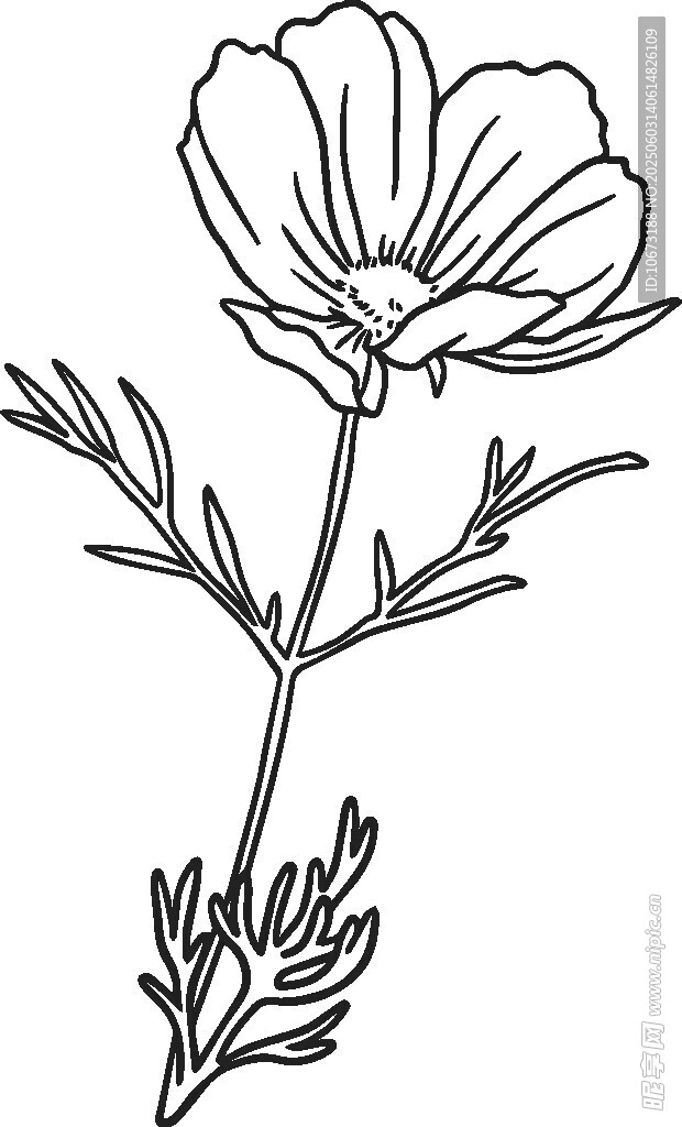 手绘线条花卉图案