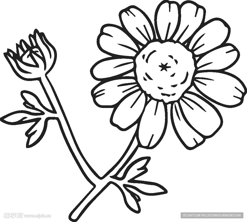 手绘雏菊花枝线条图
