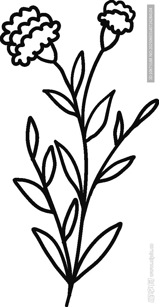 手绘简约花卉植物线条图
