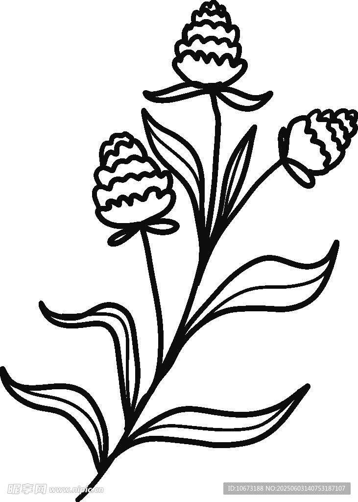 手绘简约植物花卉图案