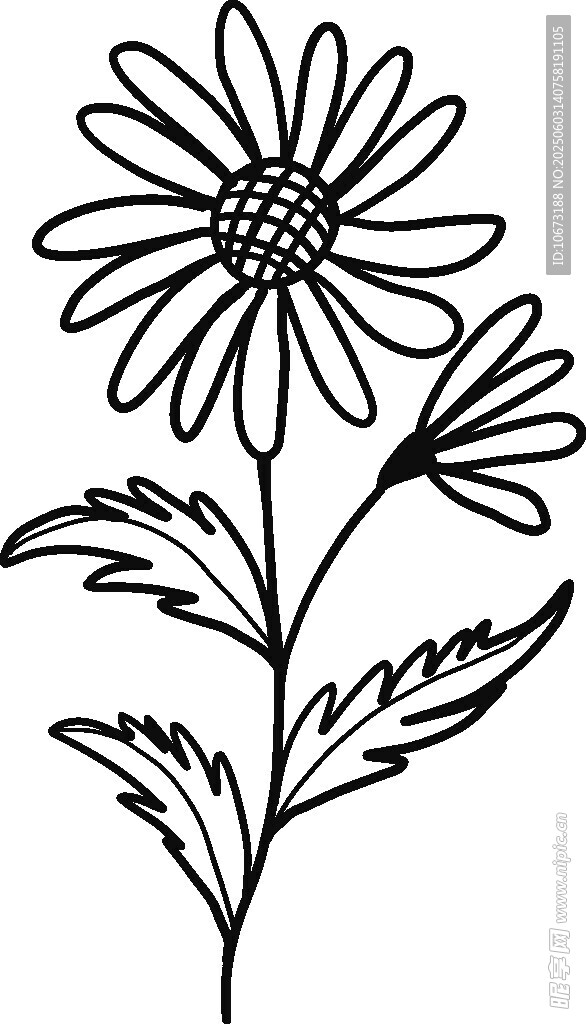 手绘雏菊花卉线条图案