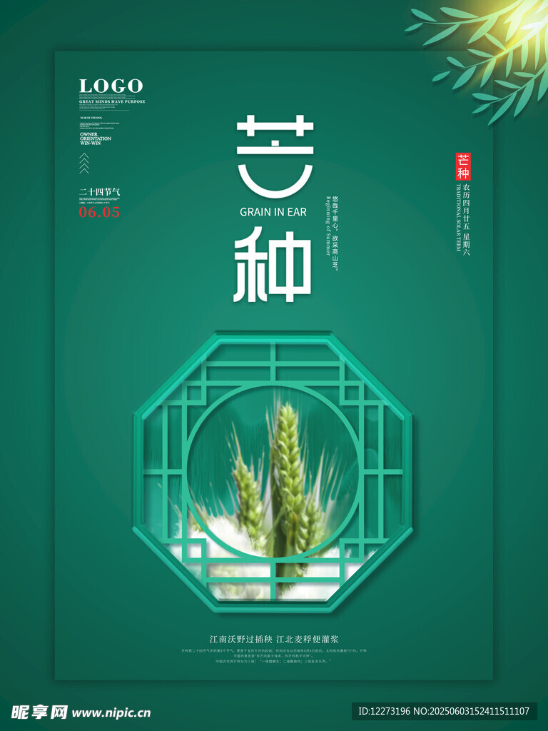 芒种时节绿意浓