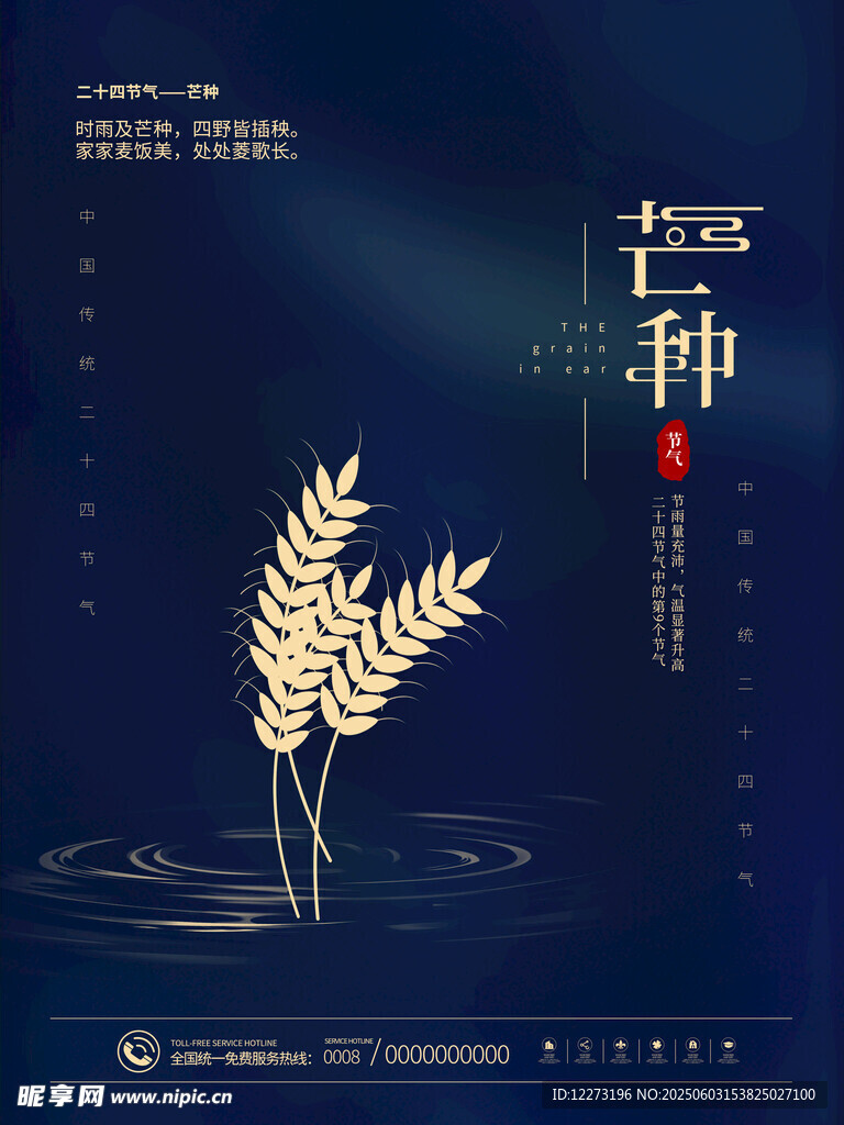 芒种时节麦穗图