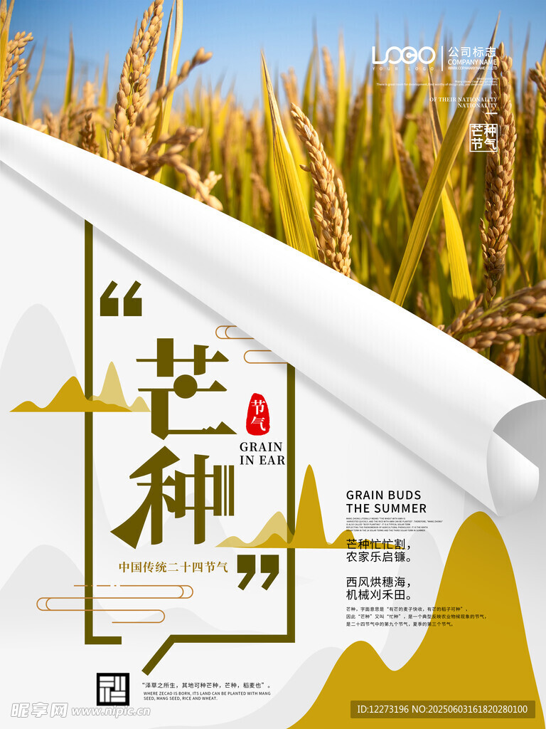 芒种时节田园风光海报