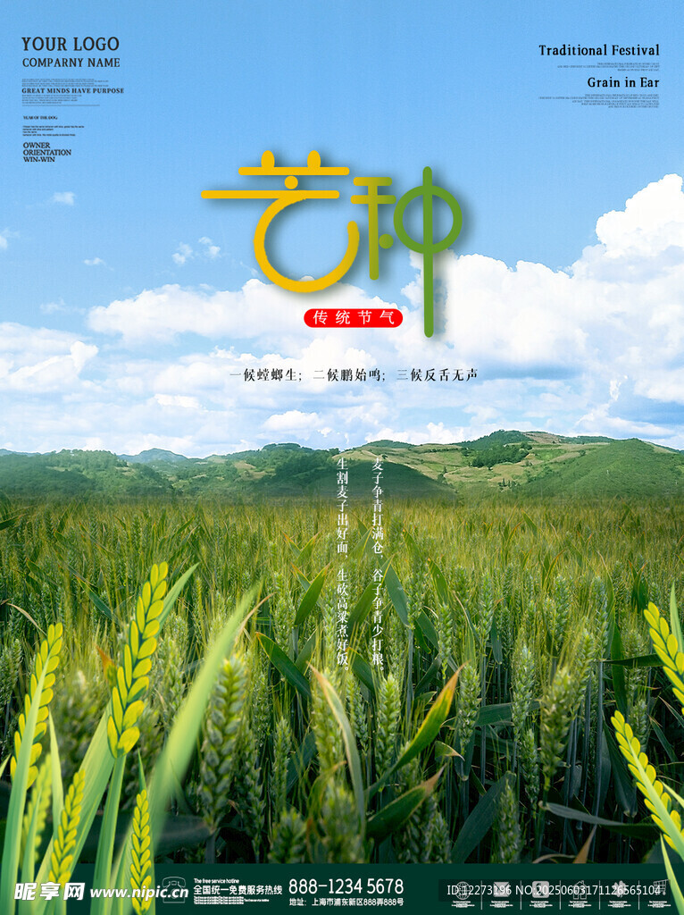芒种海报
