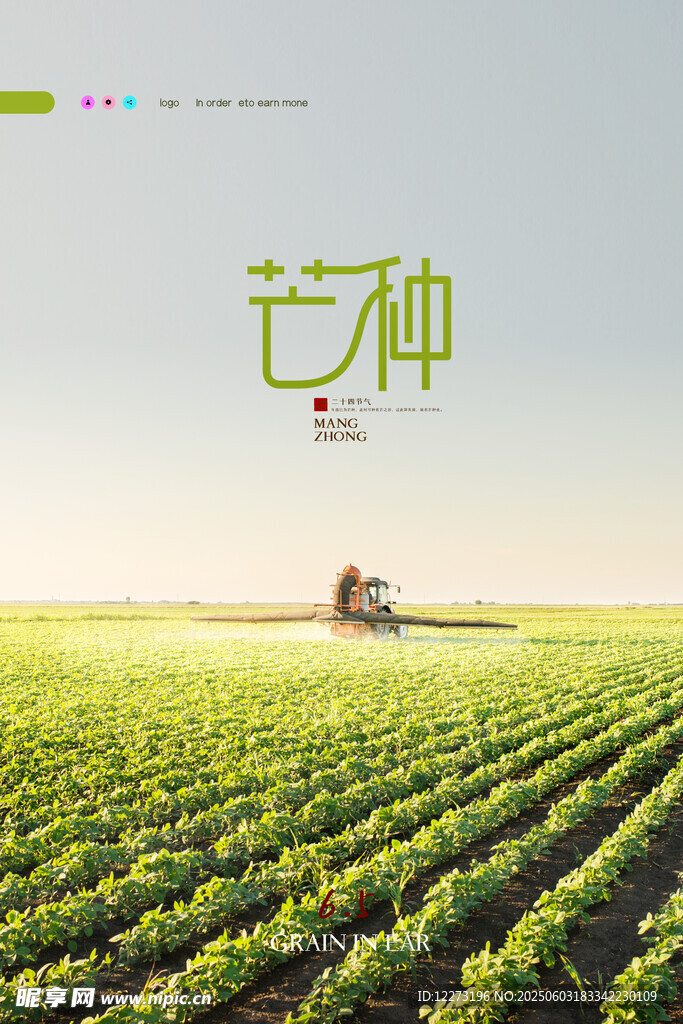 芒种时节的田园风光