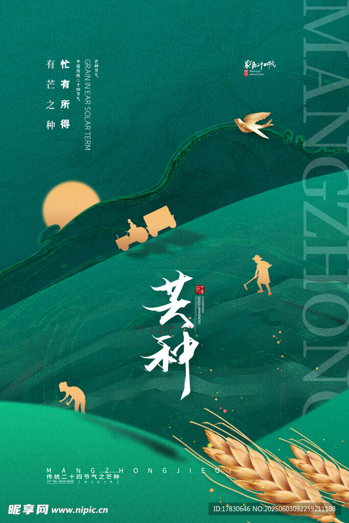 芒种海报