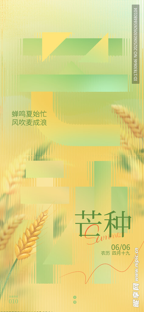芒种海报