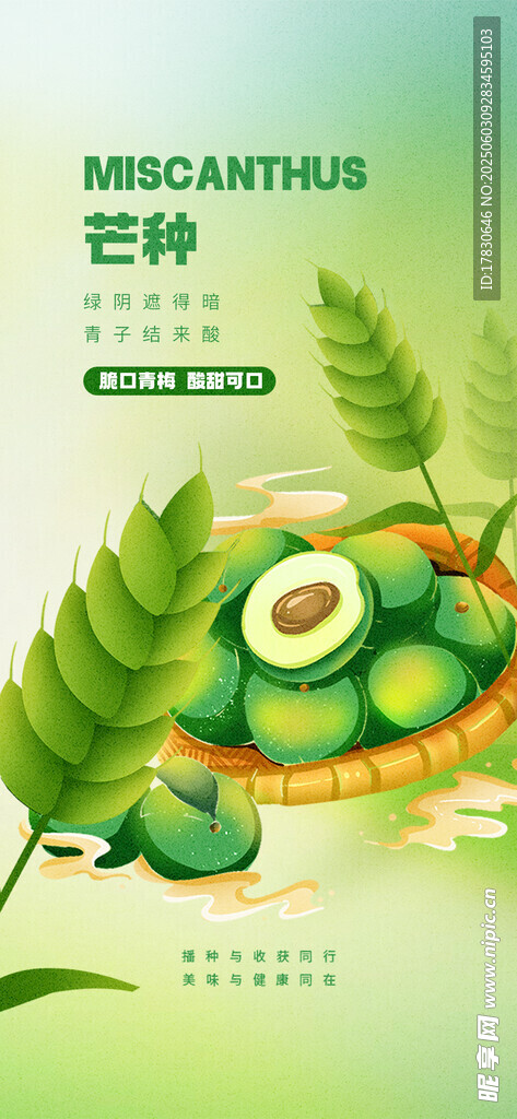 芒种海报