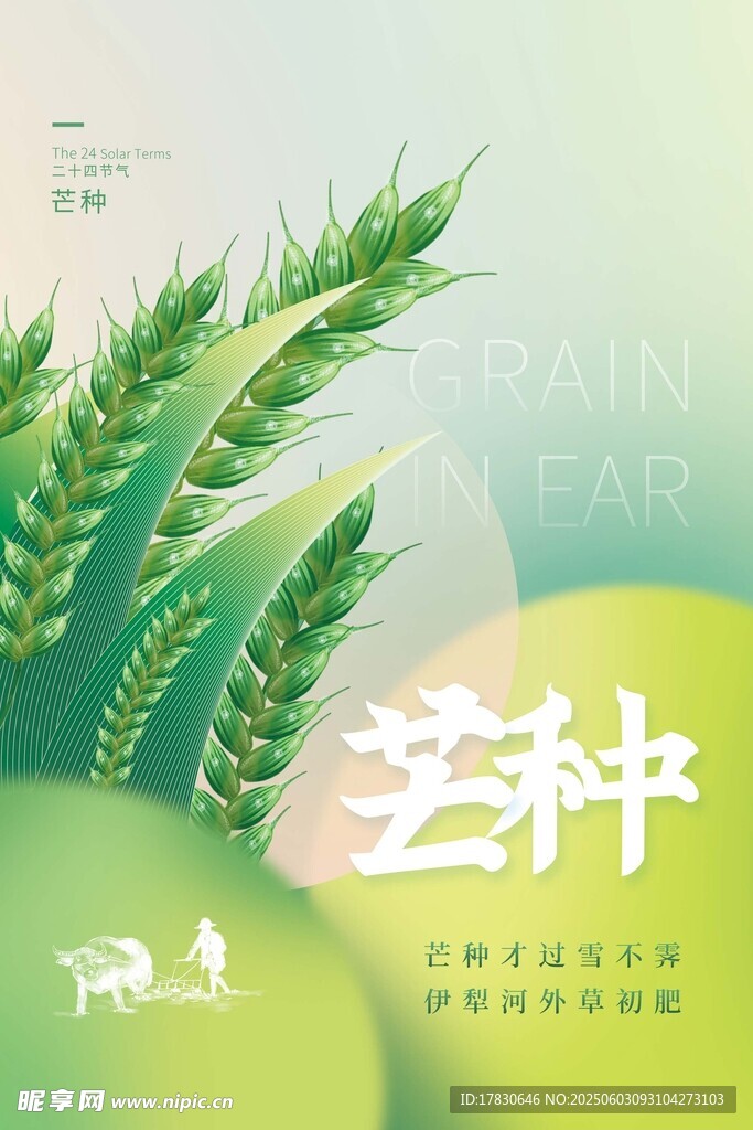 芒种海报