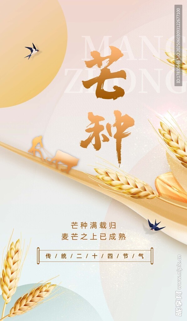 芒种海报