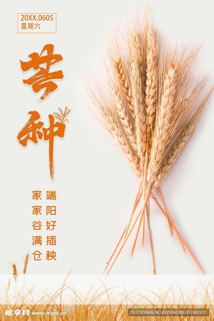 芒种海报