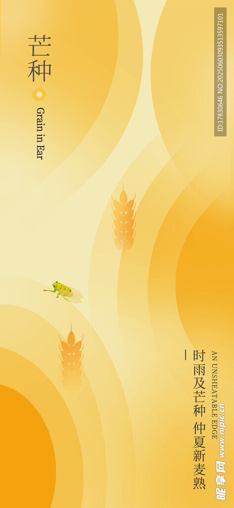 芒种海报