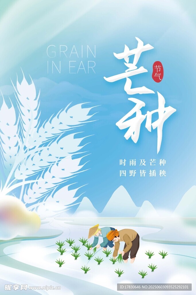 芒种海报