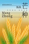 芒种海报
