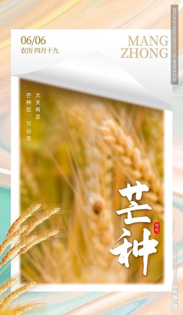 芒种海报