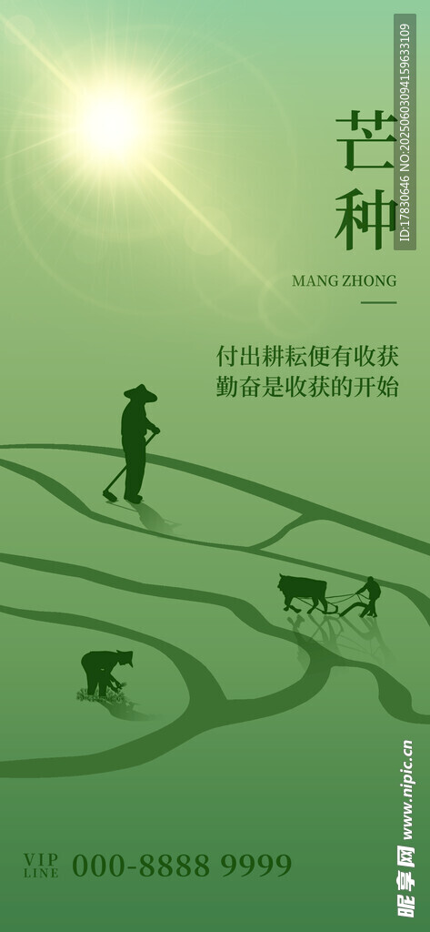 芒种海报