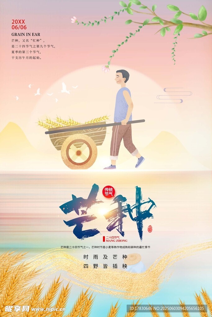 芒种海报