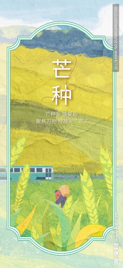 芒种海报