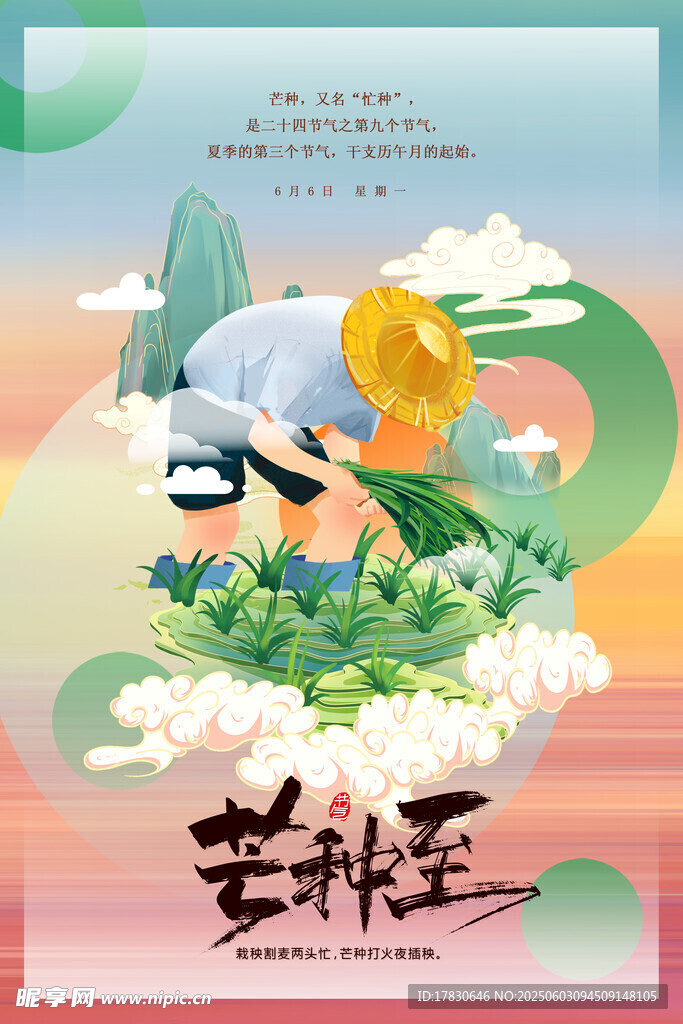 芒种海报